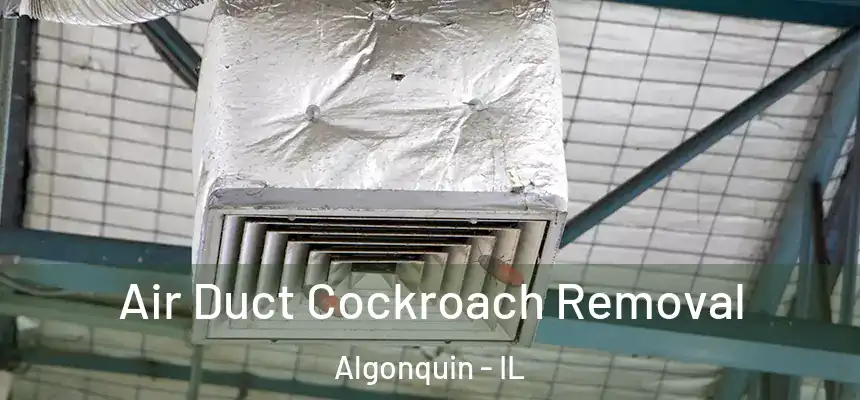 Air Duct Cockroach Removal Algonquin - IL