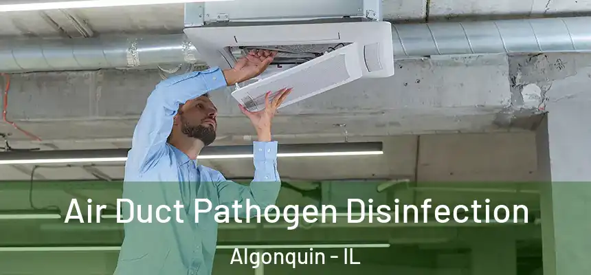 Air Duct Pathogen Disinfection Algonquin - IL