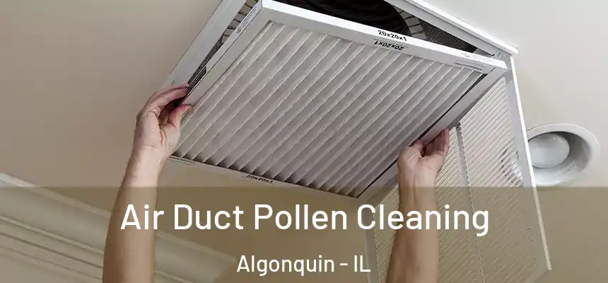 Air Duct Pollen Cleaning Algonquin - IL