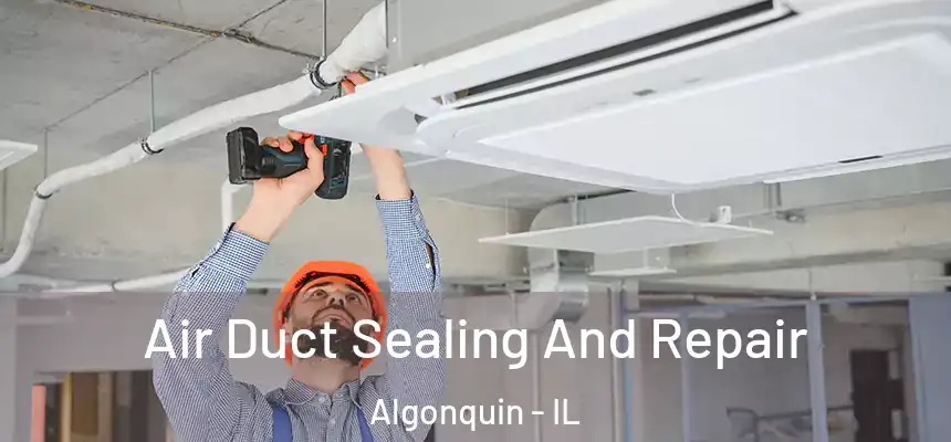  Air Duct Sealing And Repair Algonquin - IL