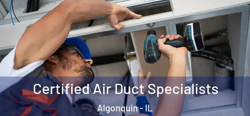  Certified Air Duct Specialists Algonquin - IL