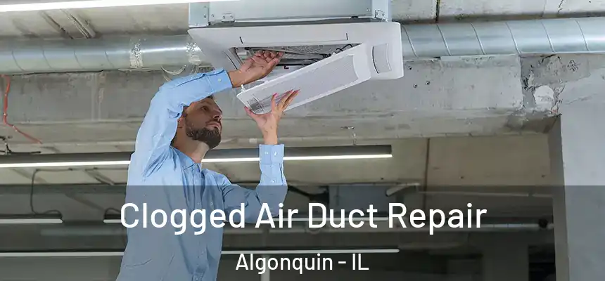 Clogged Air Duct Repair Algonquin - IL