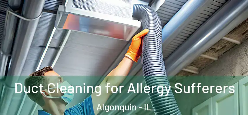  Duct Cleaning for Allergy Sufferers Algonquin - IL