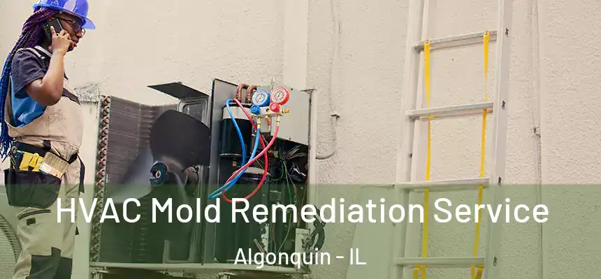 HVAC Mold Remediation Service Algonquin - IL