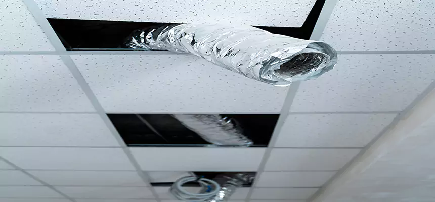 Affordable HVAC Sanitizing After Pest Removal in Algonquin