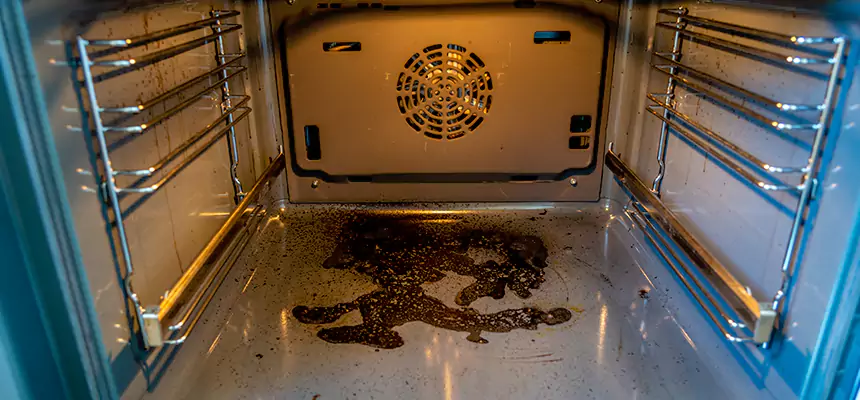 Our Dryer Vent Mold Cleaning Services in Algonquin, IL