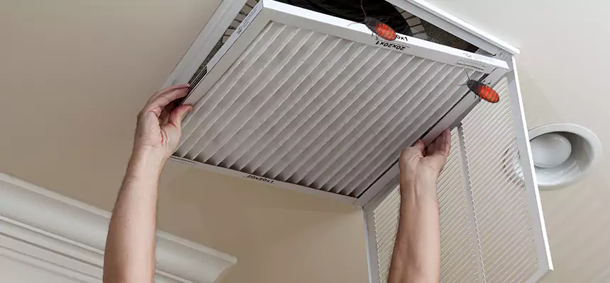 Our Insect Removal from Air Ducts Services in Algonquin, IL