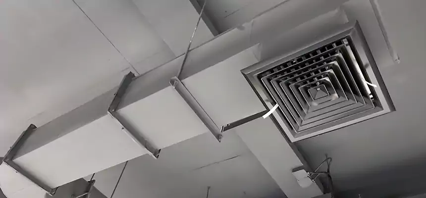 Our Pest Removal From Ducts Services in Algonquin, IL