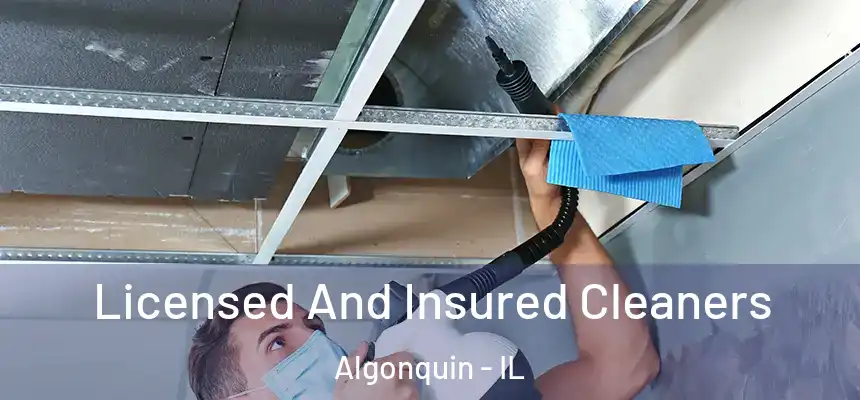 Licensed And Insured Cleaners Algonquin - IL