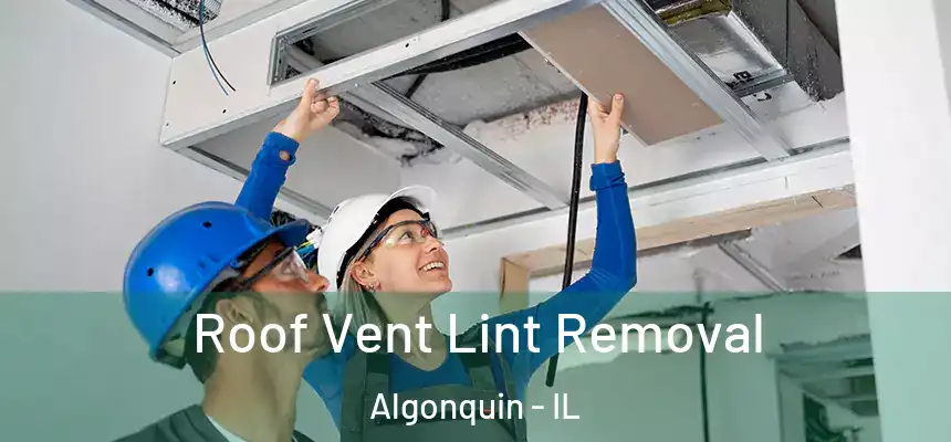 Roof Vent Lint Removal Algonquin - IL