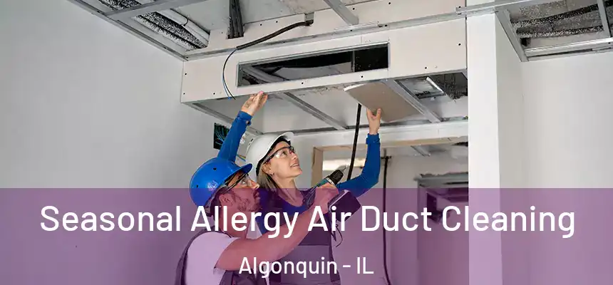 Seasonal Allergy Air Duct Cleaning Algonquin - IL