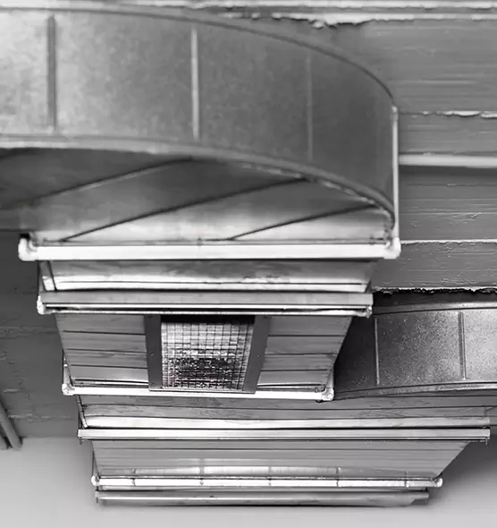 Professional Air Duct Pest Removal in Algonquin, IL