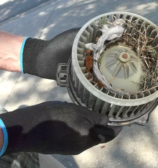 About Air Duct Rat Removal in Algonquin, IL