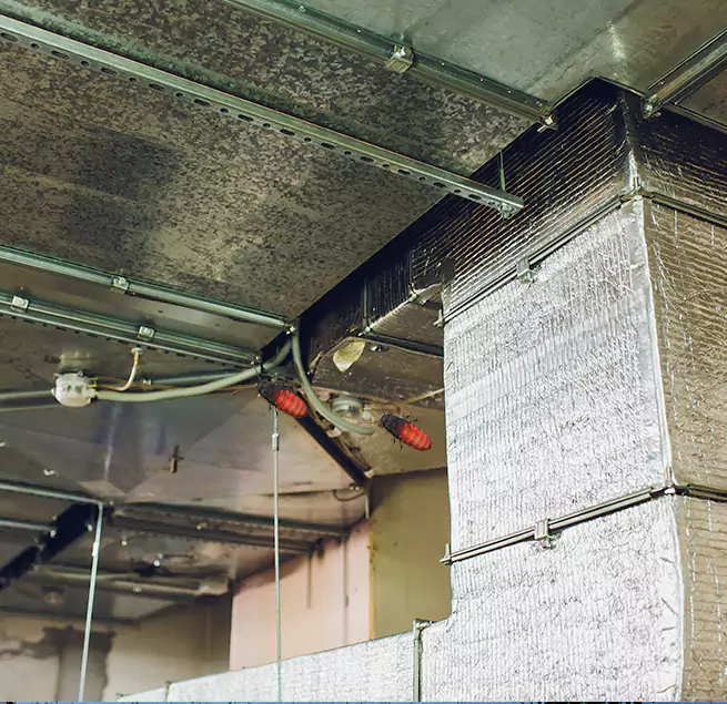 Why Homeowners & Businesses Trust Us in Algonquin, IL?