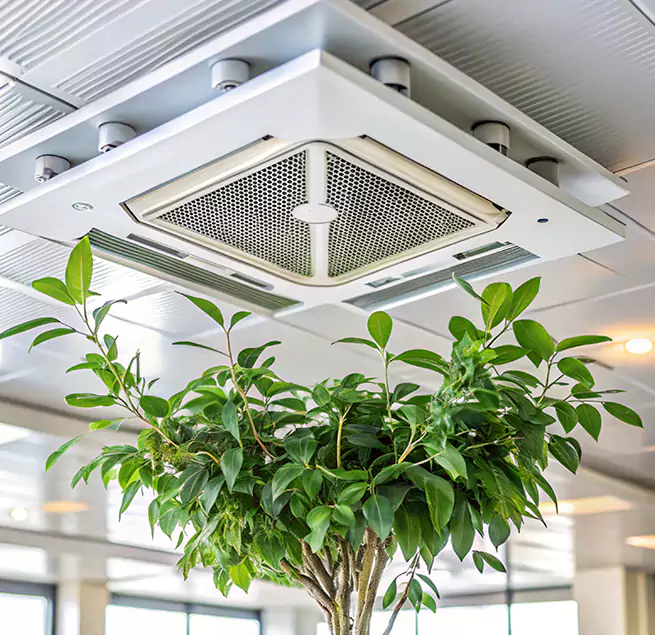 Why Homeowners & Businesses Trust Us in Algonquin, IL?