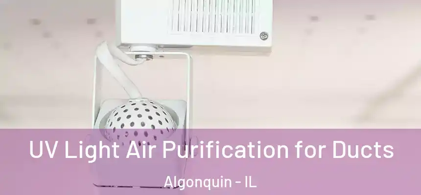  UV Light Air Purification for Ducts Algonquin - IL